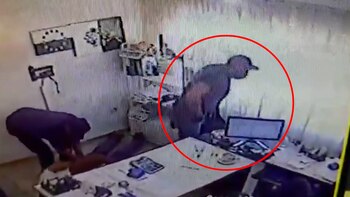 Los delincuentes al momento del