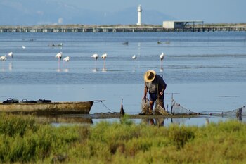 Un pescador recogiendo la captura en la Bahía del Fangar, se aprecian flamencos al fondo y en el horizonte el faro