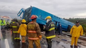 (Foto: X/@PC_Estatal)