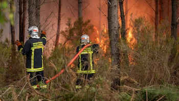 Regresan a sus hogares 84.000 evacuados por el incendio de Gironda, en Francia