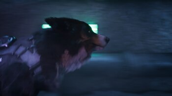 Barkour | Desarrollador: VARSAV Game