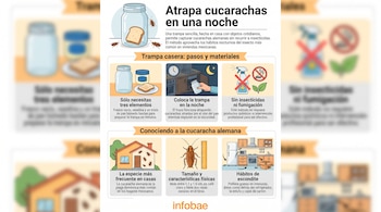 Infografía con texto "Atrapa cucarachas en una noche" e imágenes de un frasco, pan, vaselina, una cucaracha, una casa, una cocina y símbolos de prohibición.
