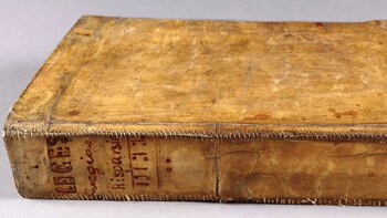 Qué hay detrás de los