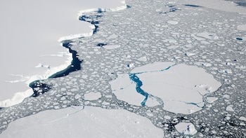 Detectaron misteriosas señales de rayos cósmicos en el hielo de la Antártida: cuál es su signficado