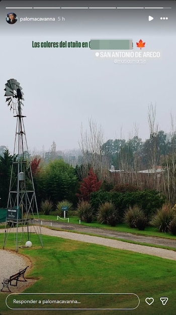Un paisaje otoñal con un molino de viento de metal a la izquierda, un camino de grava, césped verde y árboles con follaje rojo y verde bajo un cielo nublado