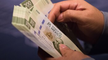 Cuáles son los 21 estados