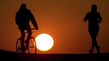 Los humanos envejecen de manera