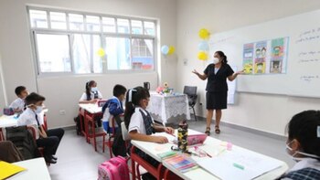 Nuevo currículo escolar sin enfoque