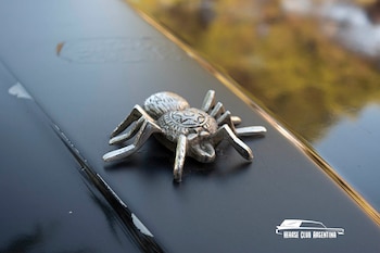 Detalles de Halloween siguiendo al