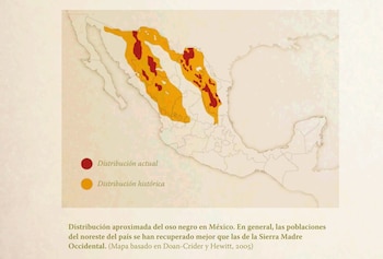 Distribución aproximada del oso negro