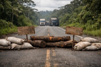 Vista frontal de una carretera asfaltada en la selva, bloqueada por sacos de arroz y troncos, con dos carteles de madera vacíos y camiones desenfocados al fondo.