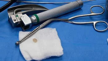 La respuesta de los doctores