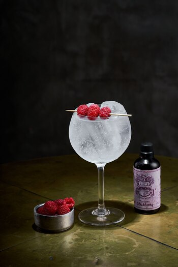 Un gin tonic de frutos