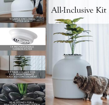 Artículos para gato en Amazon