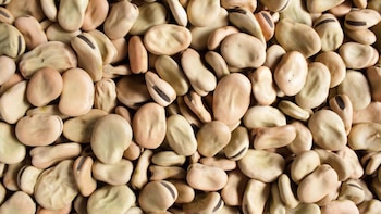 El contenido en minerales como