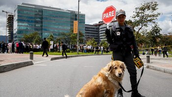 Seguridad con perros en las