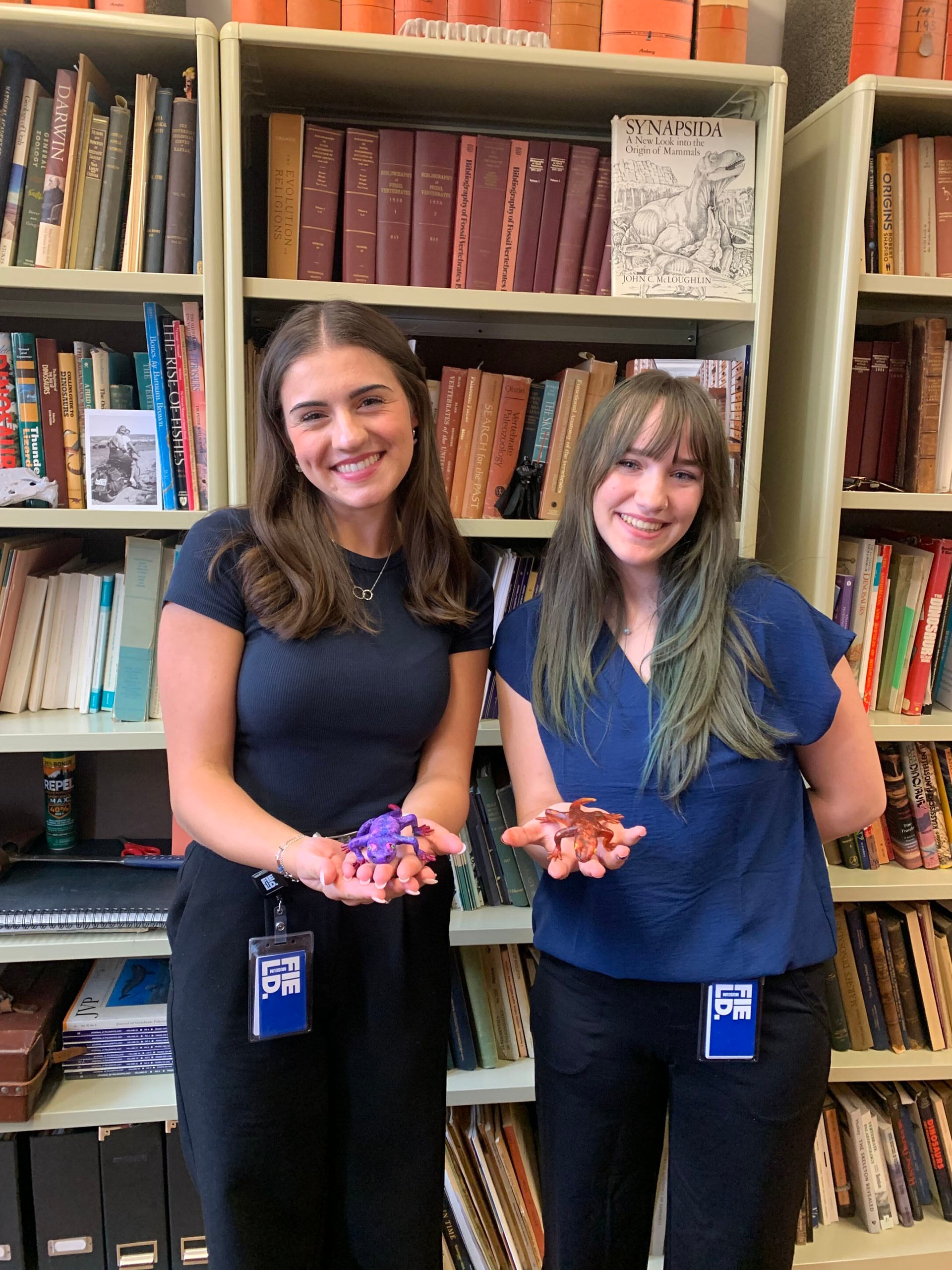 Las investigadoras Payton Kohlberg y Allison Sefcovic identificaron la especie de protoanfibio Jeanerpeton mazonensis en el Museo Field (Arjan Mann)