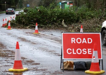 Un árbol bloquea la carretera