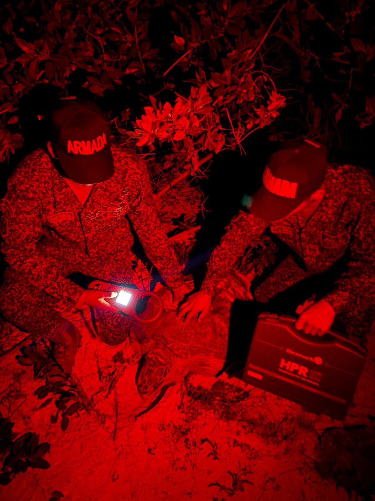 Cayo Serrana destaca como el principal punto de anidación de tortuga carey, cabezona y verde en el Caribe colombiano - crédito prensa Armada de Colombia