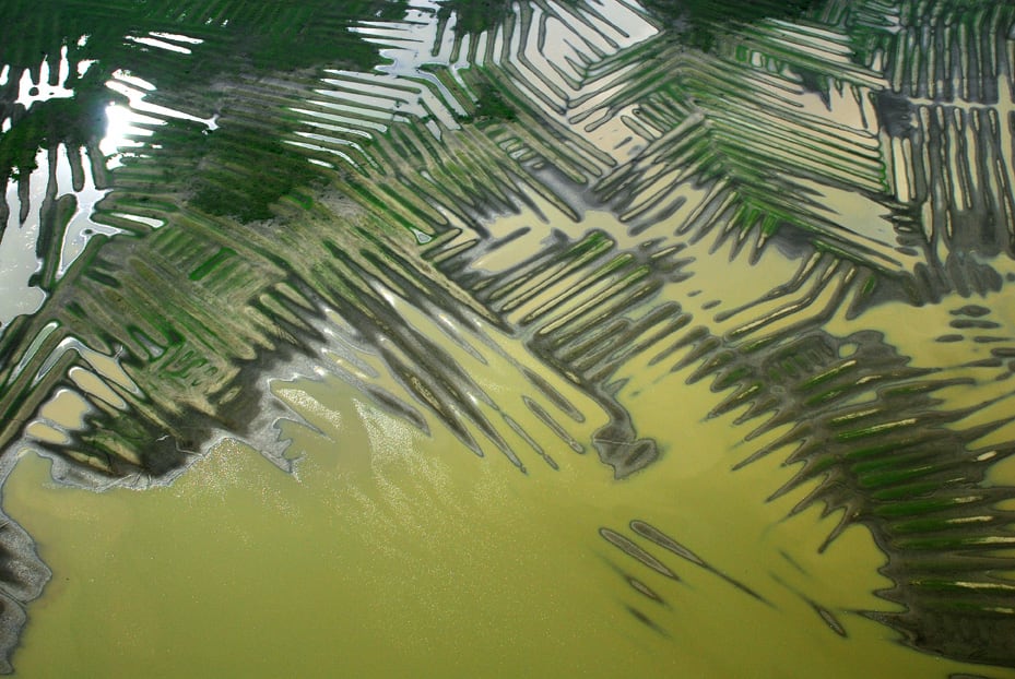 Los canales y campos elevados de La Mojana durante la temporada de lluvias - crédito Sebastián Schrimpff, cortesía del Museo del Oro, Banco de la República