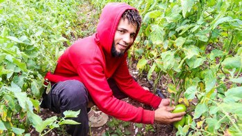 Aliméntate, junto a Bonogas, Bonoluz
