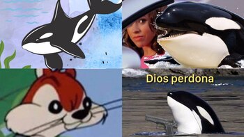La orca Gladis se ha