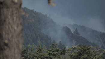 Municipios de Cundinamarca están en alerta por riesgo de incendios forestales y desabastecimiento de agua ante el fenómeno del Niño