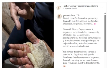La Gobernación de Tolima está atendiendo emergencias en Coyaima - crédito @gobertolima/IG