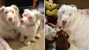 Desde temprana edad Raina mostró