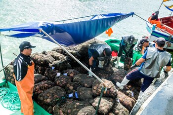 Gobierno brindará apoyo a los