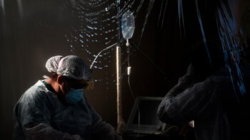 La ineficiencia mata