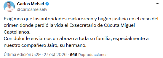 Carlos Meisel pidió que se esclarezca el homicidio - crédito @carlosmeiselv/X
