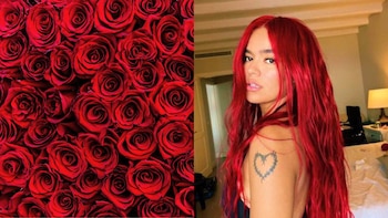 Conoce cuál es el significado