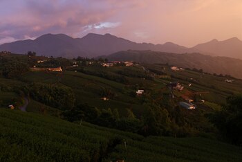 El número de víctimas del