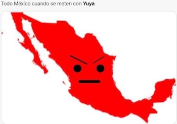 (Captura: @_anapao1993/Twitter)