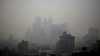 Miles de personas en una