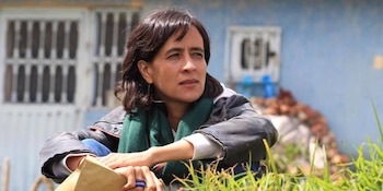 Susana Muhamad, concejal y exsecretaria