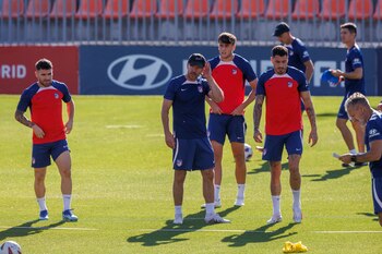 Diego Simeone, durante el último