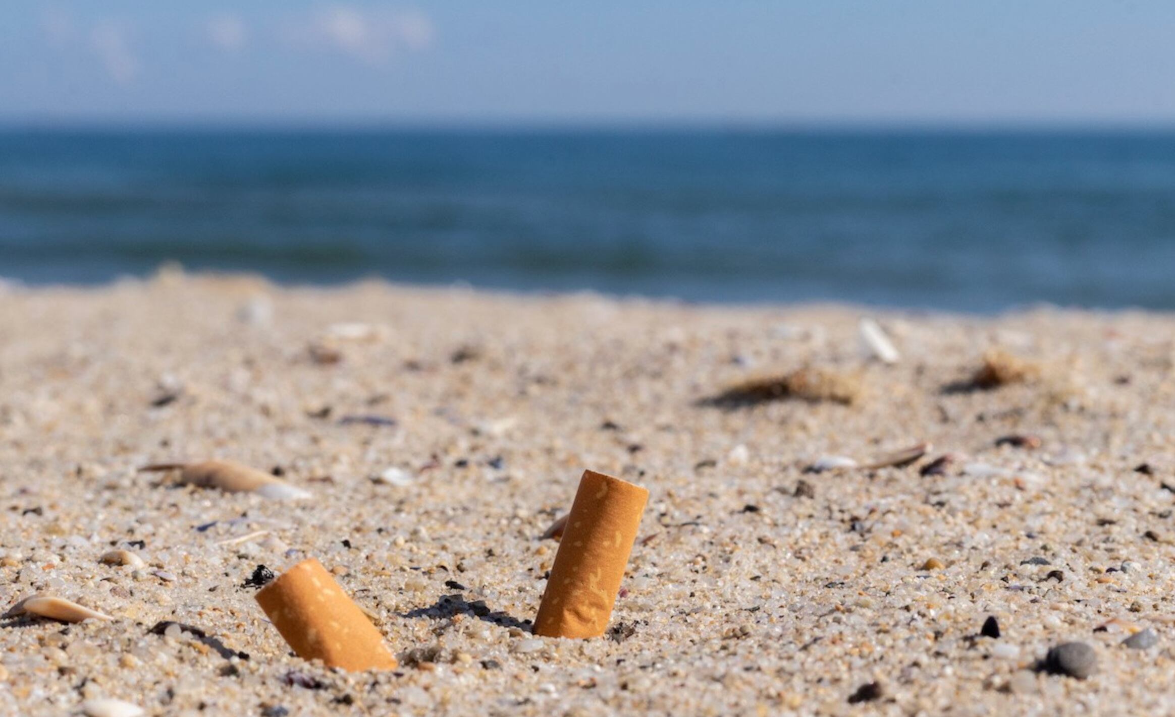 Las colillas de cigarrillos encabezan el tipo de contaminante plástico más encontrado (19,6%) en las playas bonaerenses