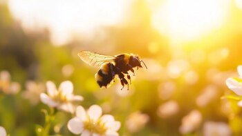 El robot volador más pequeño