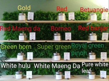 La cantidad de mitraginina depende