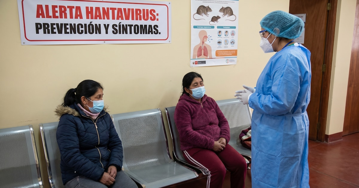 Perú activa alerta sanitaria en aeropuertos y puertos por brote de hantavirus en crucero