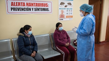 En Panamá circula la variante de hantavirus que no se transmite de persona a persona, afirman las autoridades de Salud