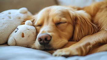 Gran parte de los dispositivos