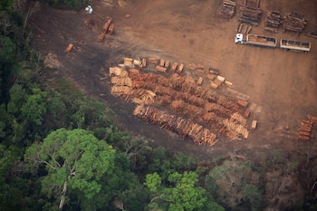 El aumento en la explotación industrial y agrícola, junto al consumo mundial, incrementa la amenaza sobre regiones forestales clave (AP Foto/Victor R. Caivano, Archivo)
