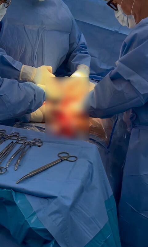 (IG: @marianaecheve)