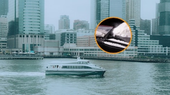 Un piloto de un barco fluvial da positivo en cocaína y deja varados a 40 turistas. (Montaje Infobae)