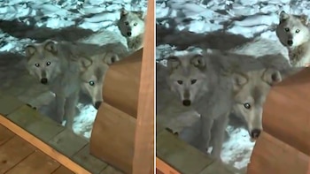 Desde la ventana, Michee Don