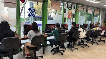 Coordinador de Alcaldía del programa