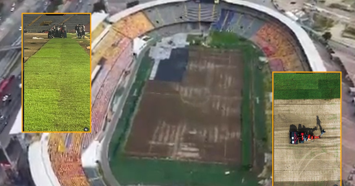 Cafe Luce Por qué la grama del estadio El Campín luce de color café tras los ...